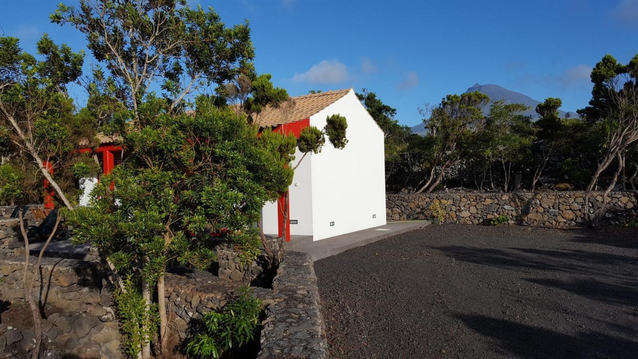 Вилла Casa Da Estrela Sirius Cabeco Chao Экстерьер фото